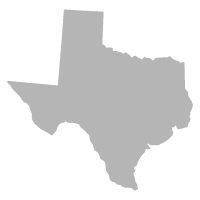 Texas Icon
